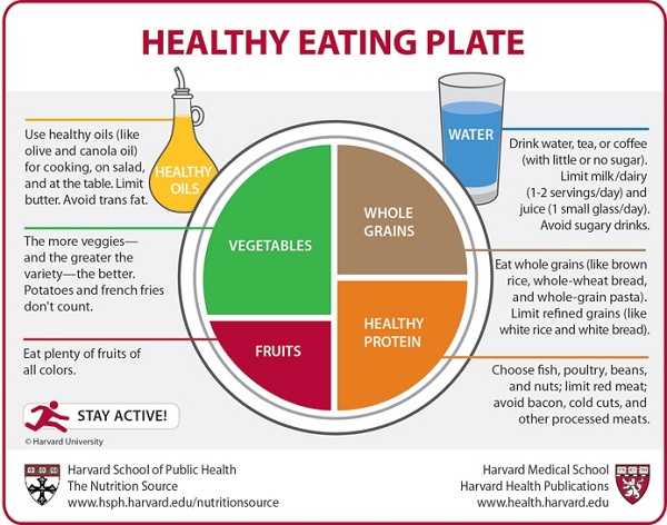 Healthy+eating+pyramid+harvard